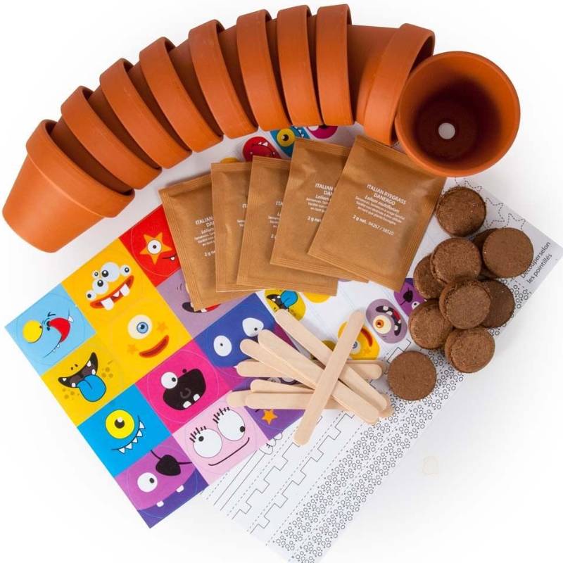 10 Little Pot Monsters Birthday Set