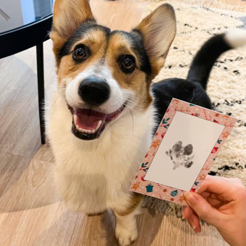 PawPrinter Stamp Kit