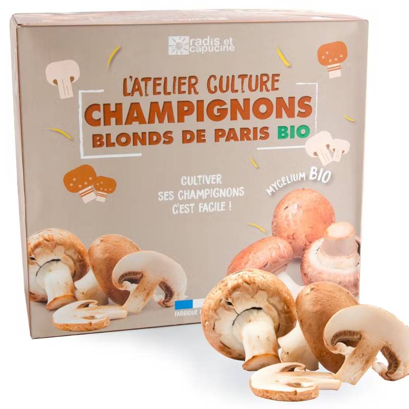 Kit di Coltivazione dei Funghi