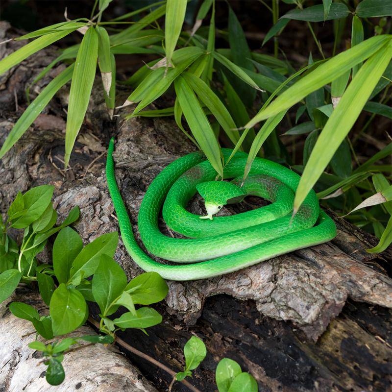 Rubber Cobra