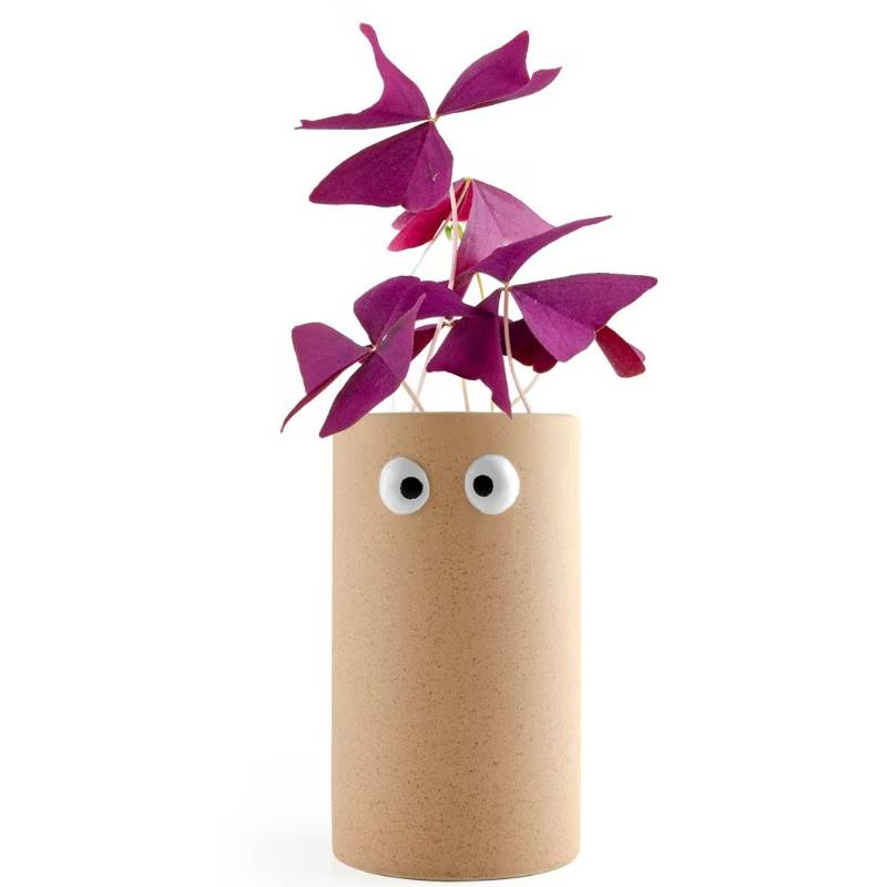 Power Girl Oxalis Kit