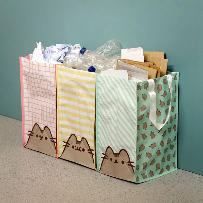 Pusheen Wschebehlter-Set