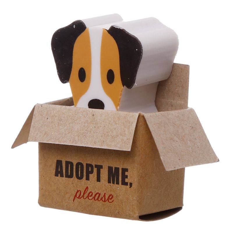 Dog Eraser Box Set