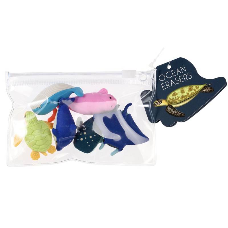 Set de gomme animaux marins