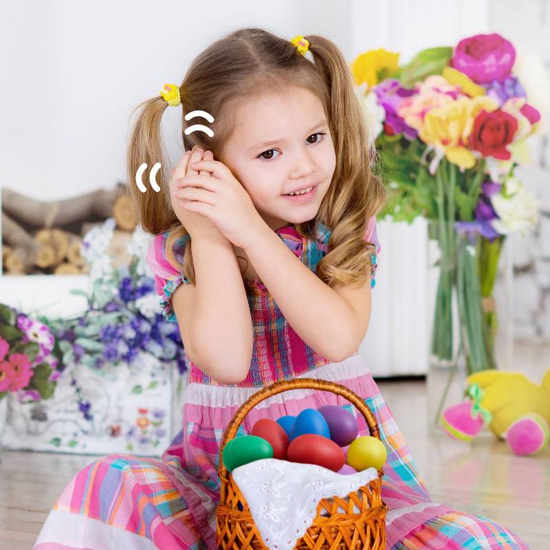 12 Egg Shakers