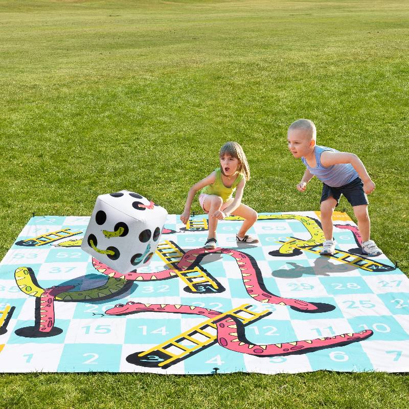 Giant Snakes And Ladders Game
