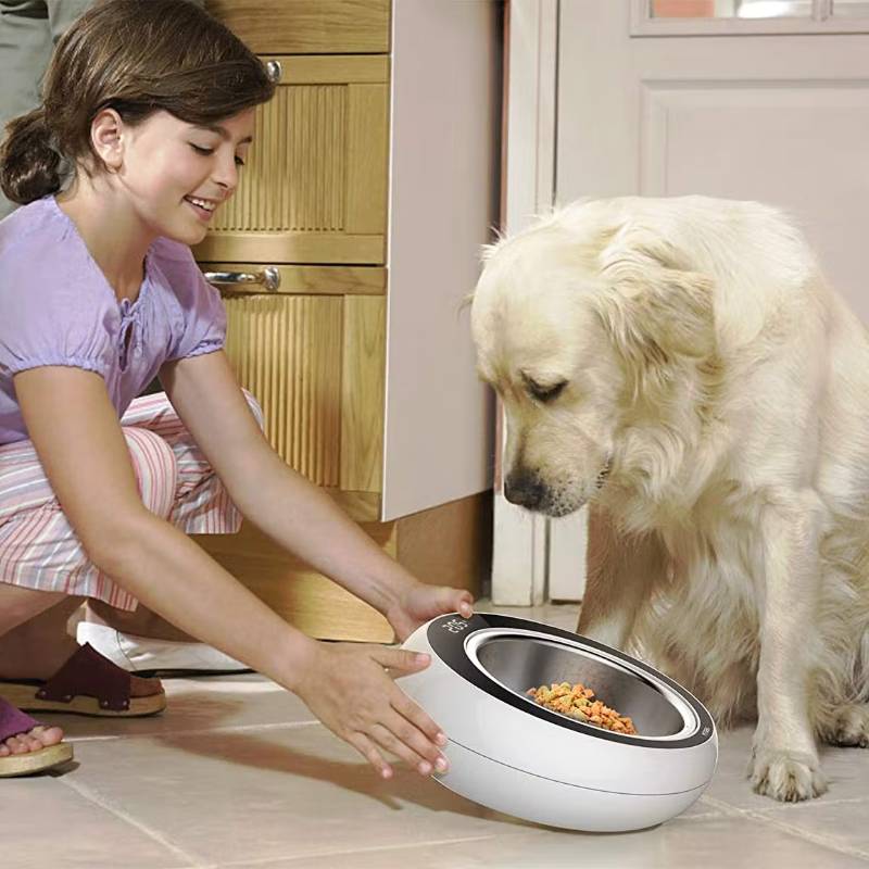 Smart Bowl for Dogs