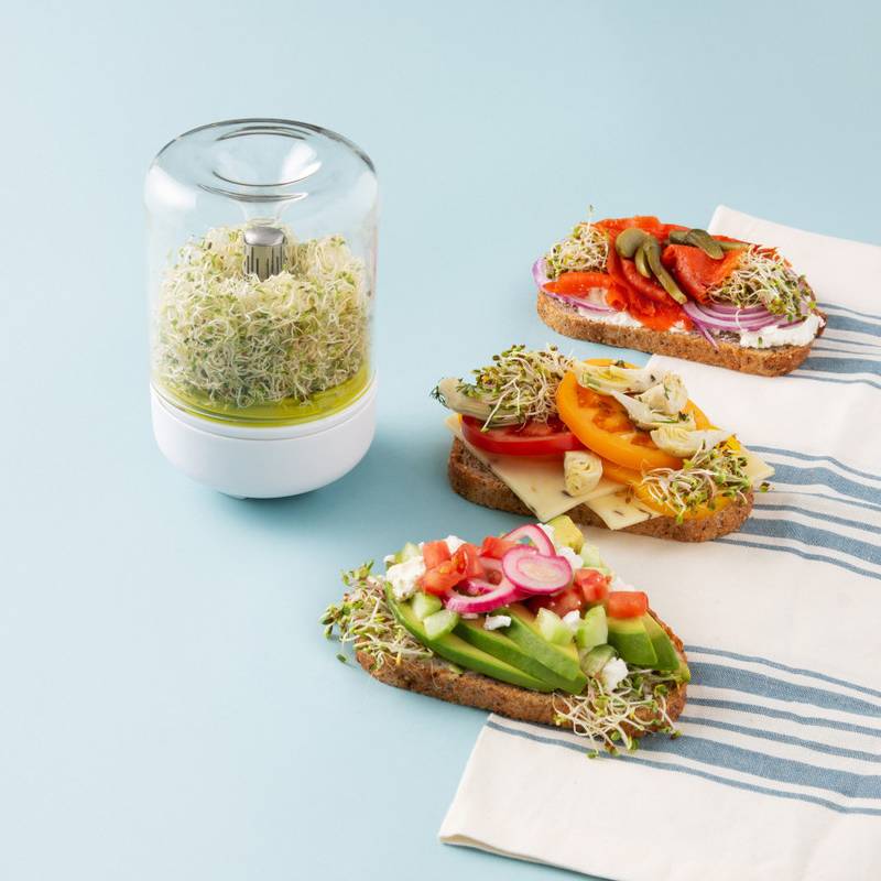 Countertop Sprouter Growing Kit