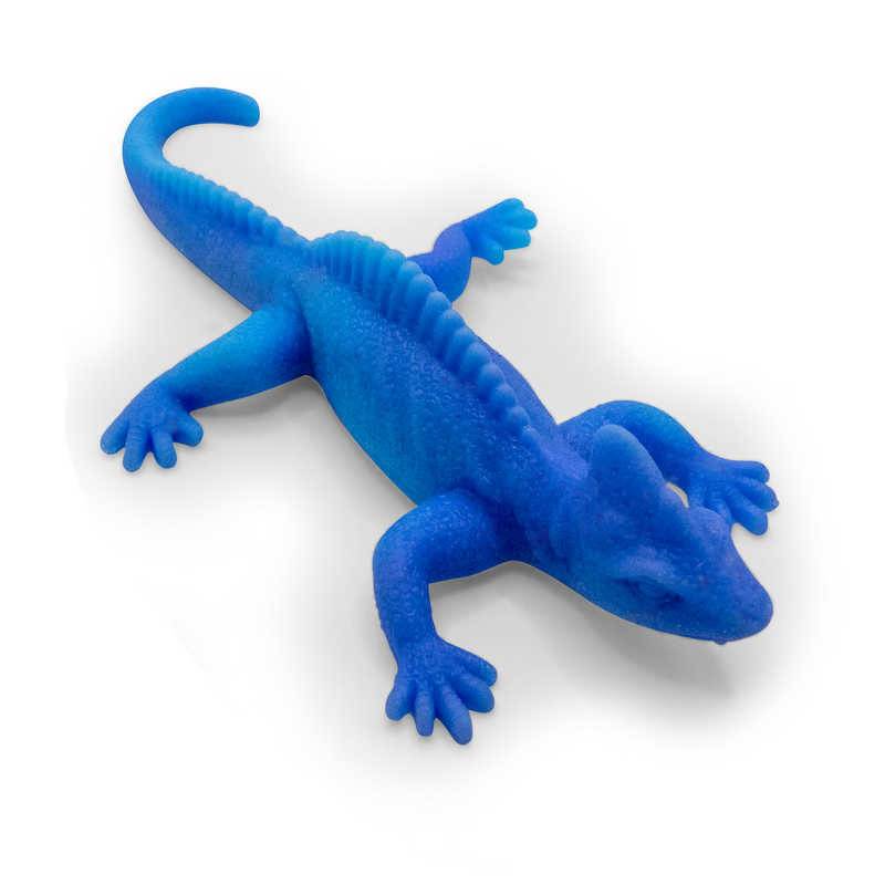 Color-Changing Lizard