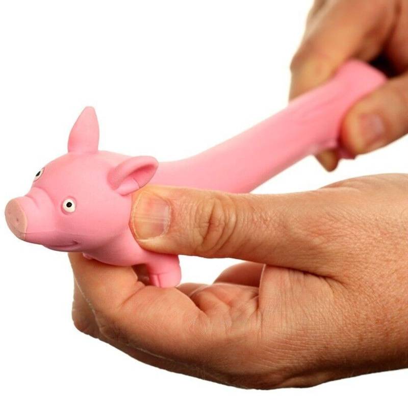 Squeezy Stretchy Pig
