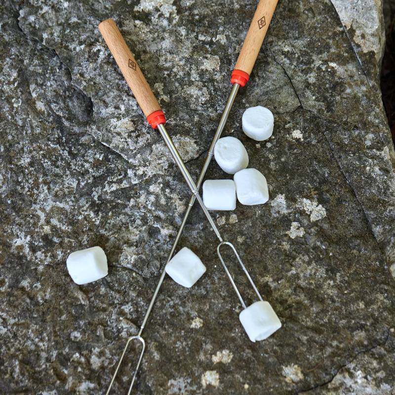 Telescopic Roasting Forks