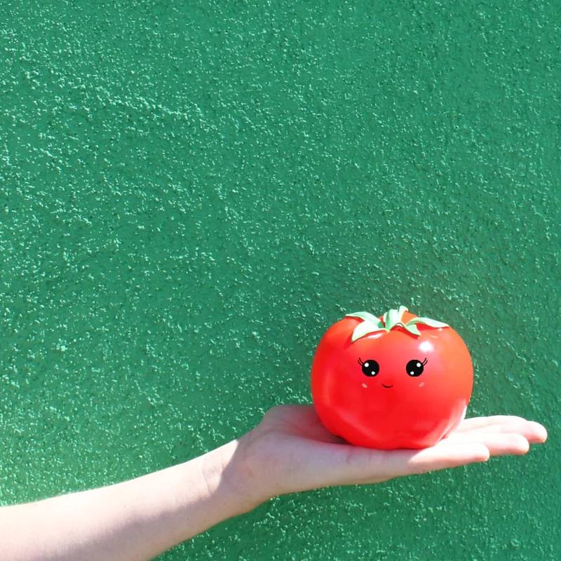 Tomato Mini LED Light