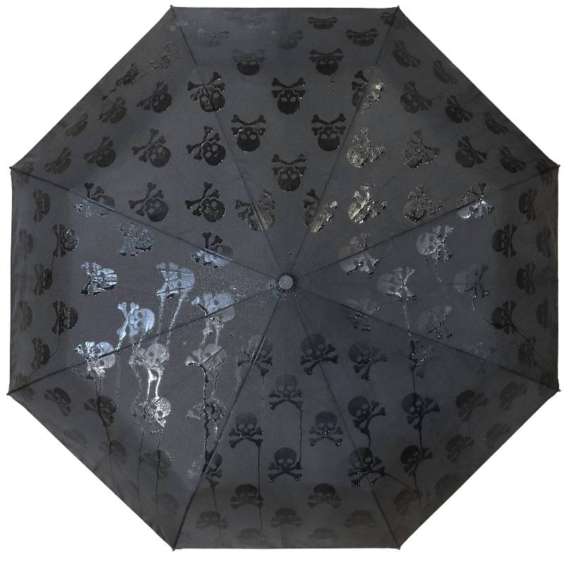 Hidden Skulls Umbrella