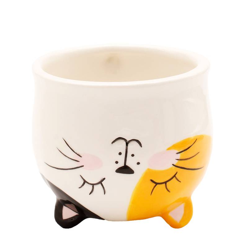 Upside Down Mug Cat