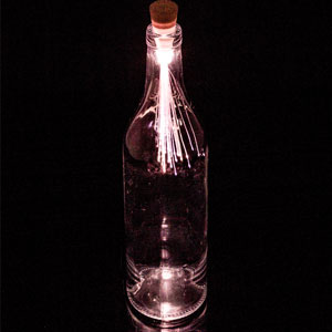 Fibre Optic Bottle Light