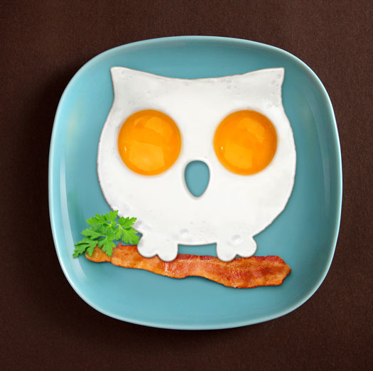 Funny Side up Owl