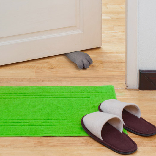 Cat Paw Doorstop