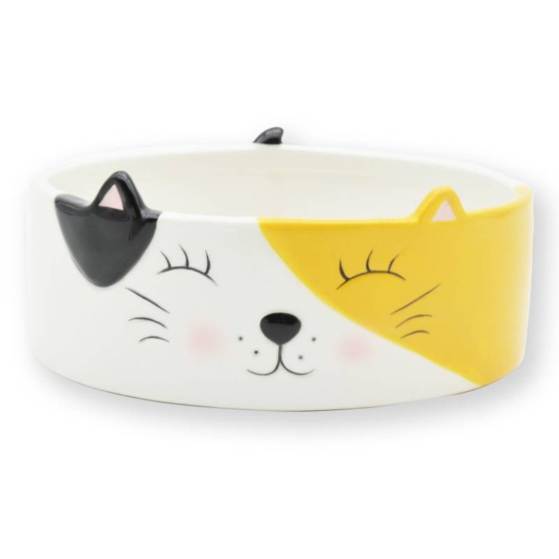 Food Bowl for Cats