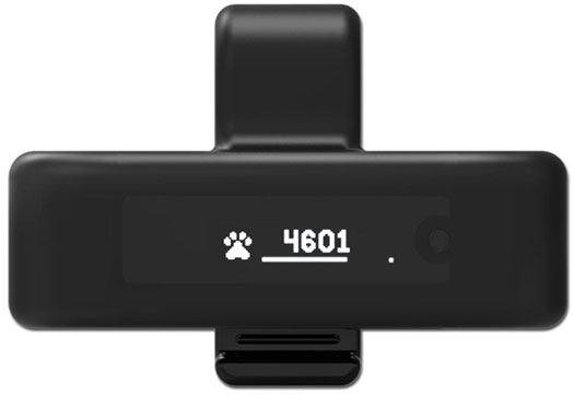 MOTION: Pet Activity Tracker