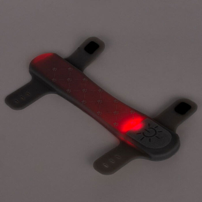 Collier Lumineux pour Chien