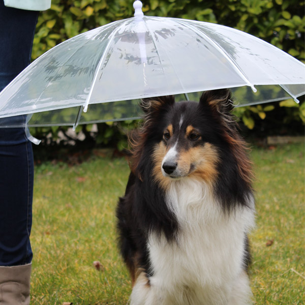 Regenschirm fr Hunde