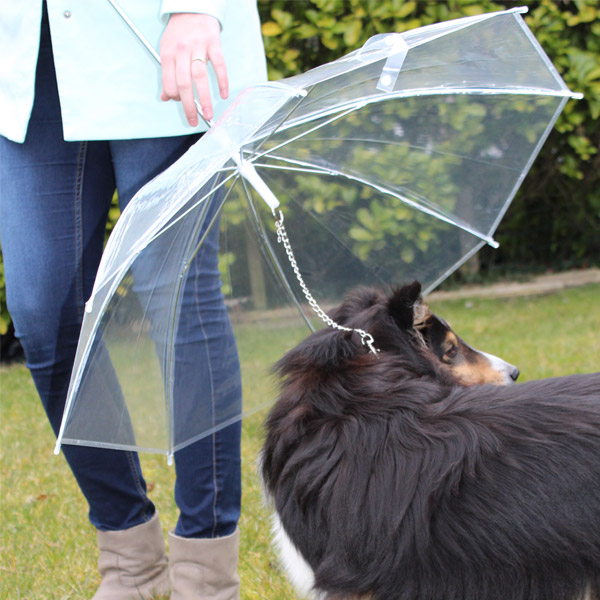 Regenschirm für Hunde Gadgets und Geschenke