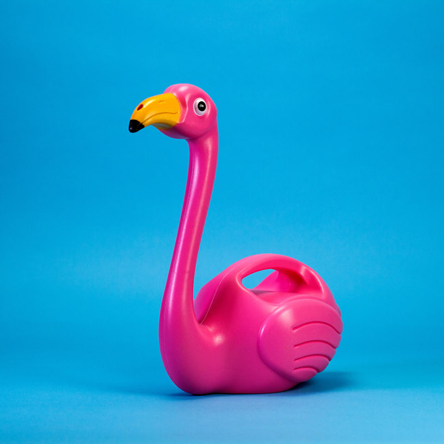 Giesskanne Flamingo