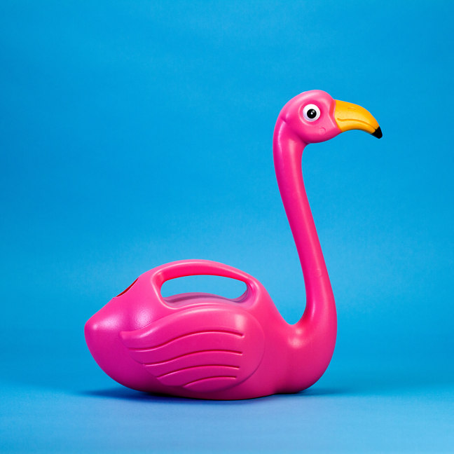 Flamingo Watering Can