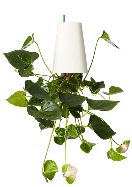 Sky Planter Blumentopf auf dem Kopf