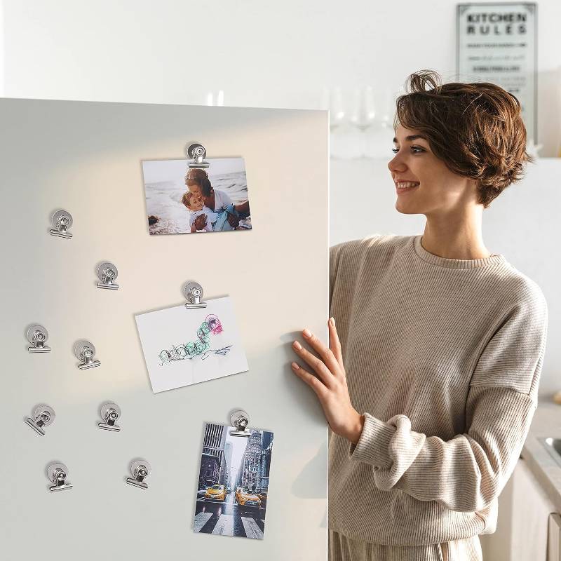 12 Magnetic Bullclips