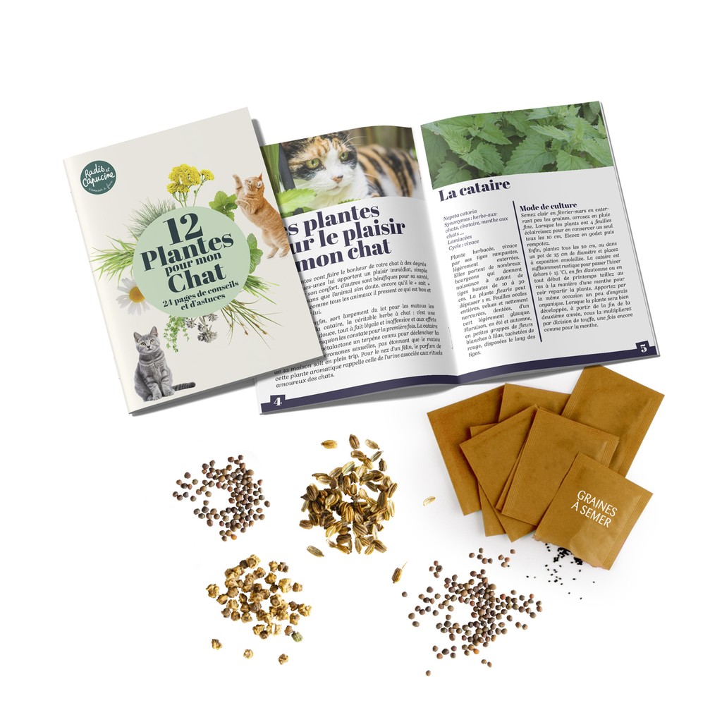 12 Pflanzen f�r meine Katze � Samen-Set