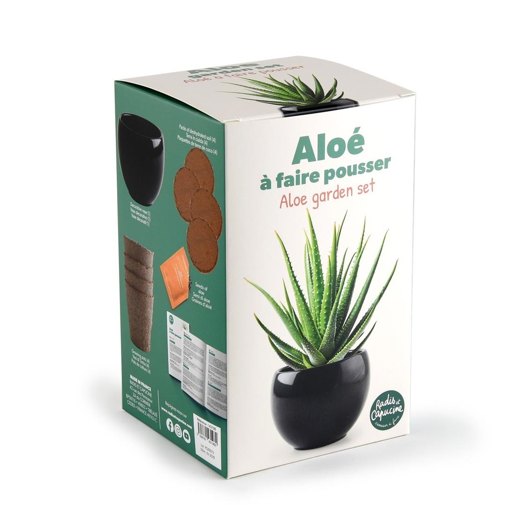 Aloe Vera Pflanz-Set
