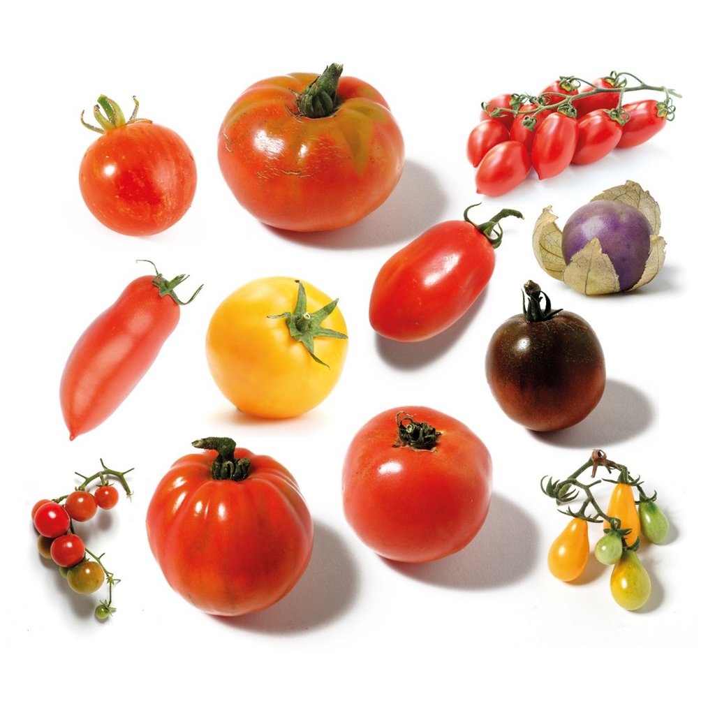 Alte Tomatensorten Saatgut-Set � 12 Sorten