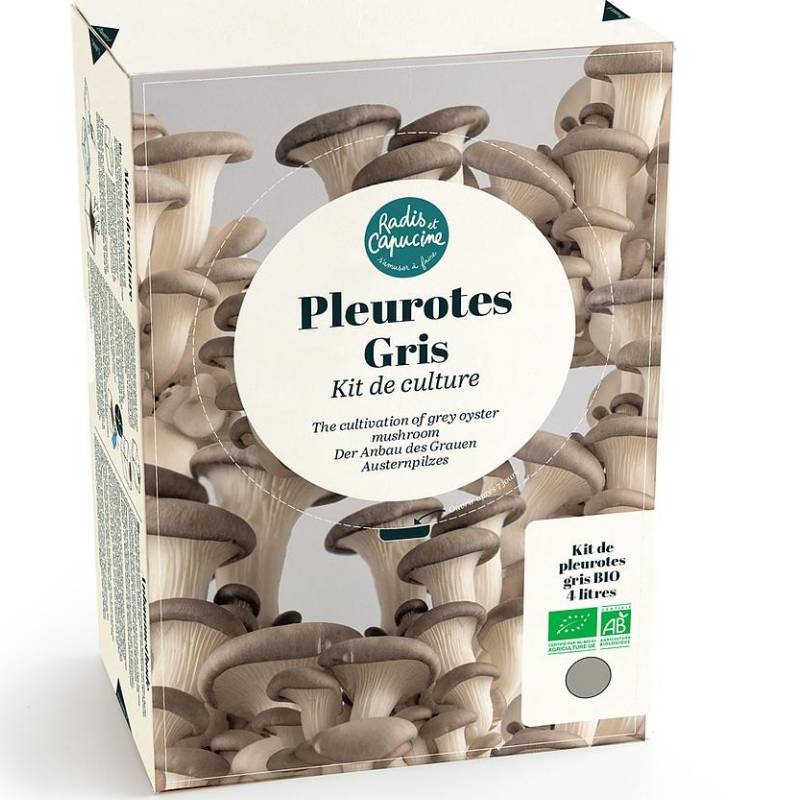 Organic Grey Oyster Mushroom Growing Kit