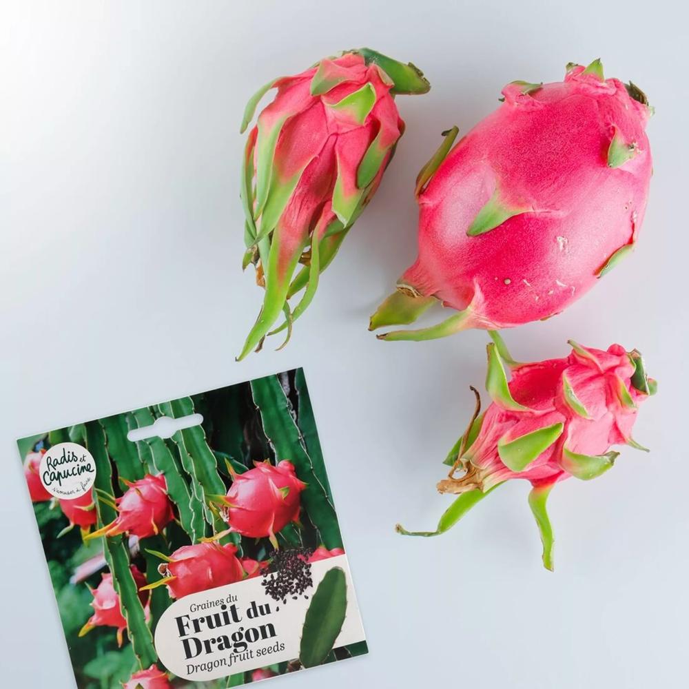 Dragon Fruit Seeds