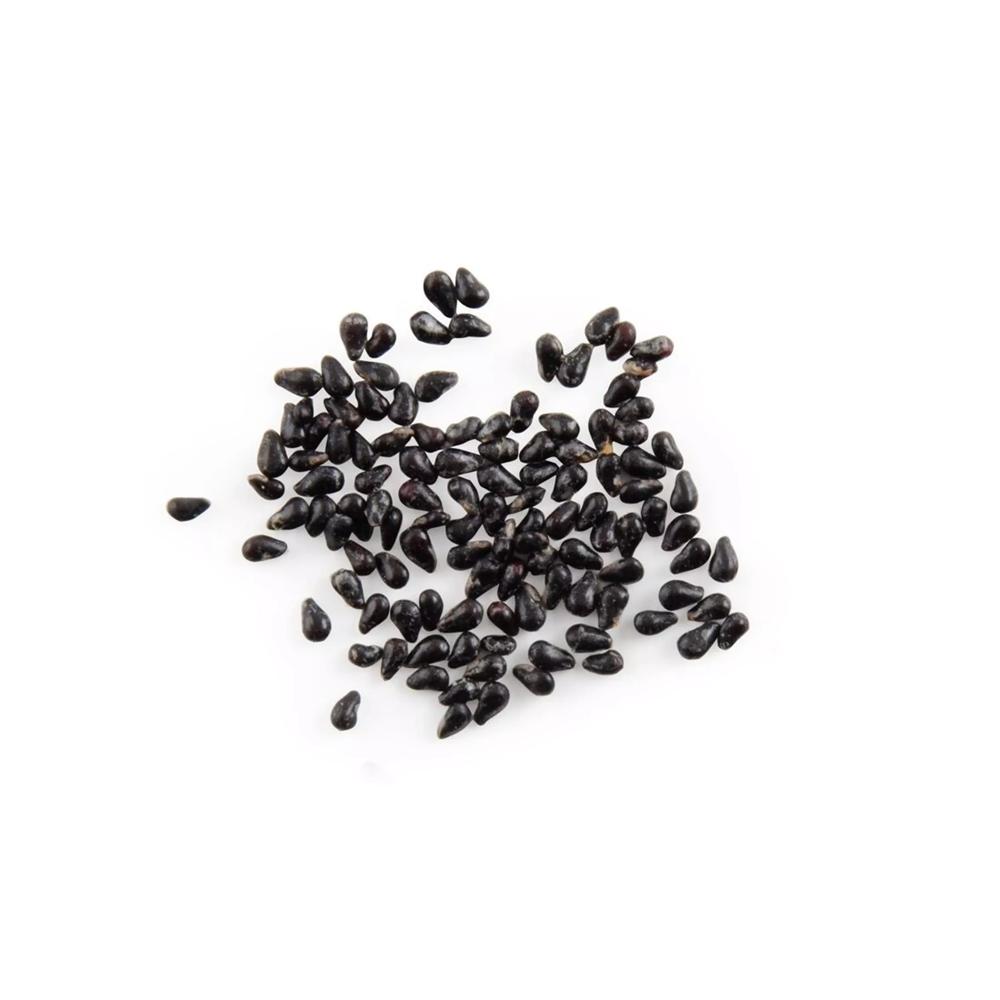 Dragon Fruit Seeds