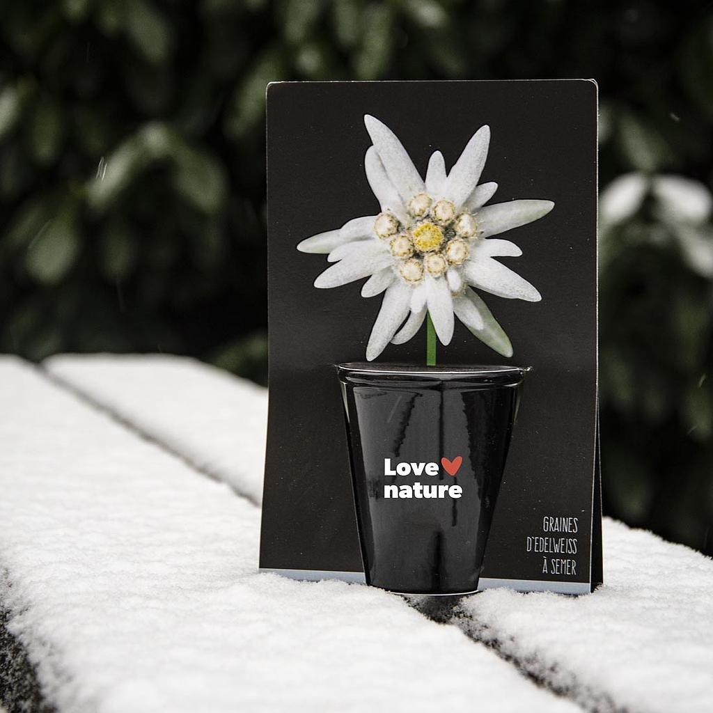 Kit de plantation Edelweiss