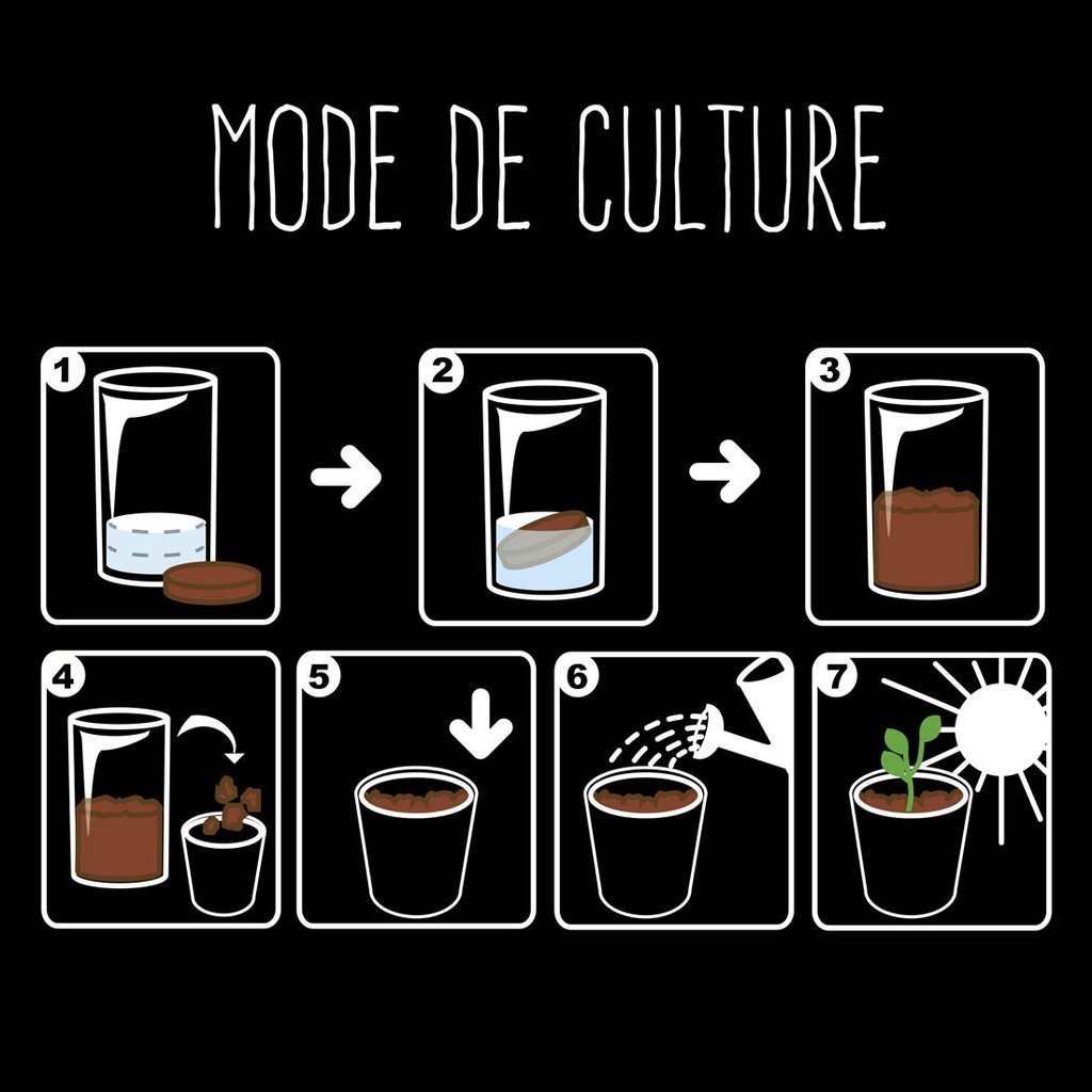 Edelweiss Pflanz-Set