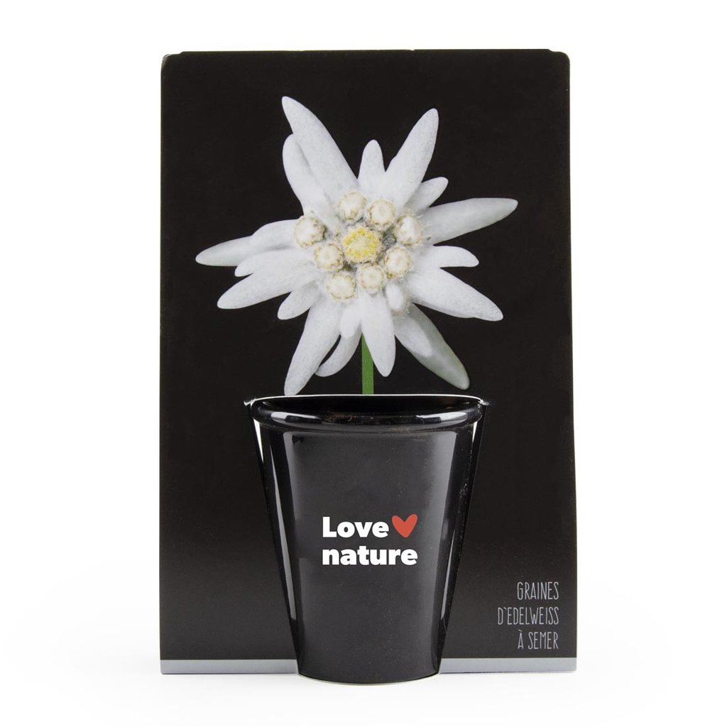 Edelweiss Pflanz-Set