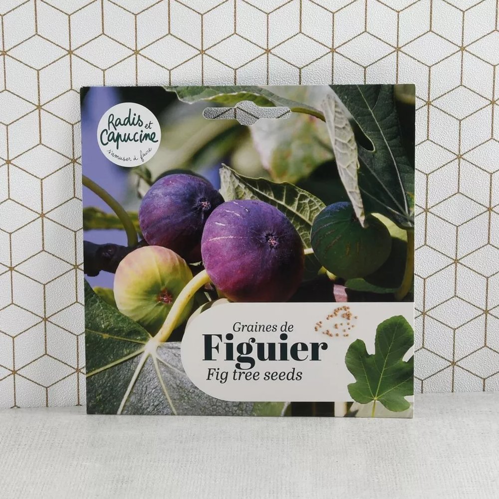 Fig Tree Seeds