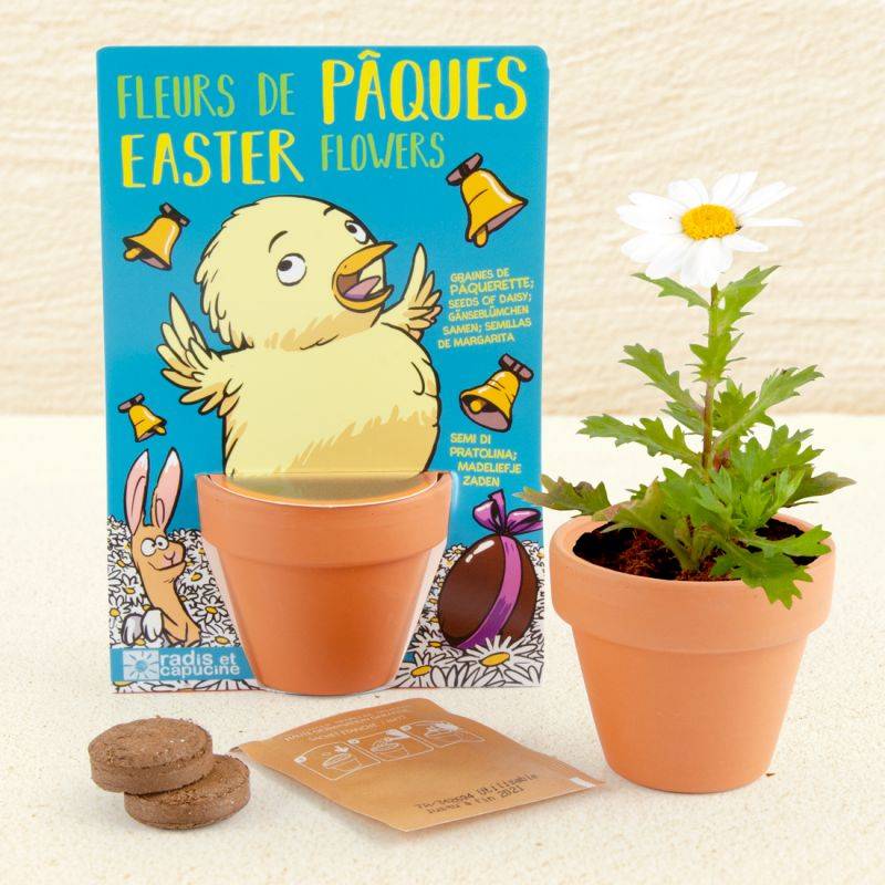 Easter Flower Growing Set