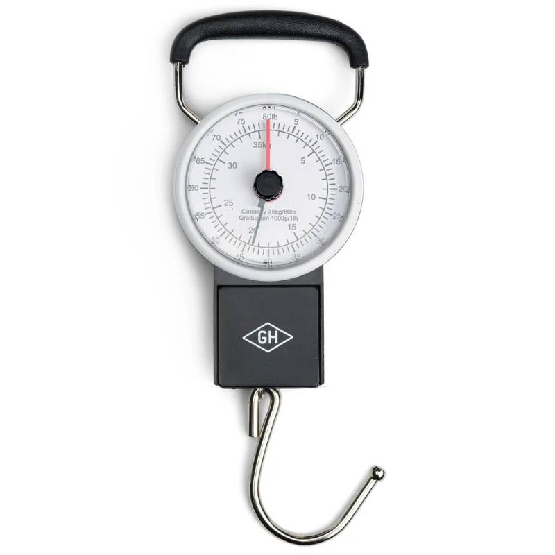 Travel Scale