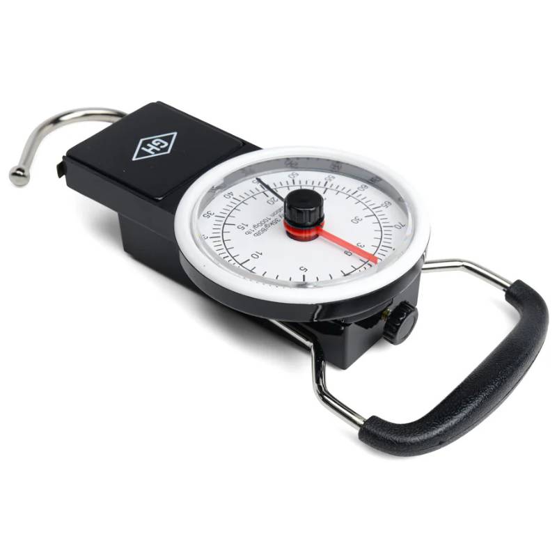 Travel Scale
