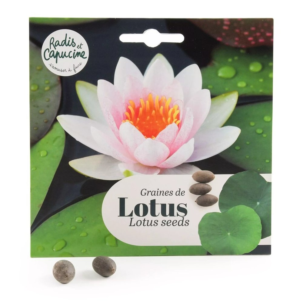 Lotus Seeds