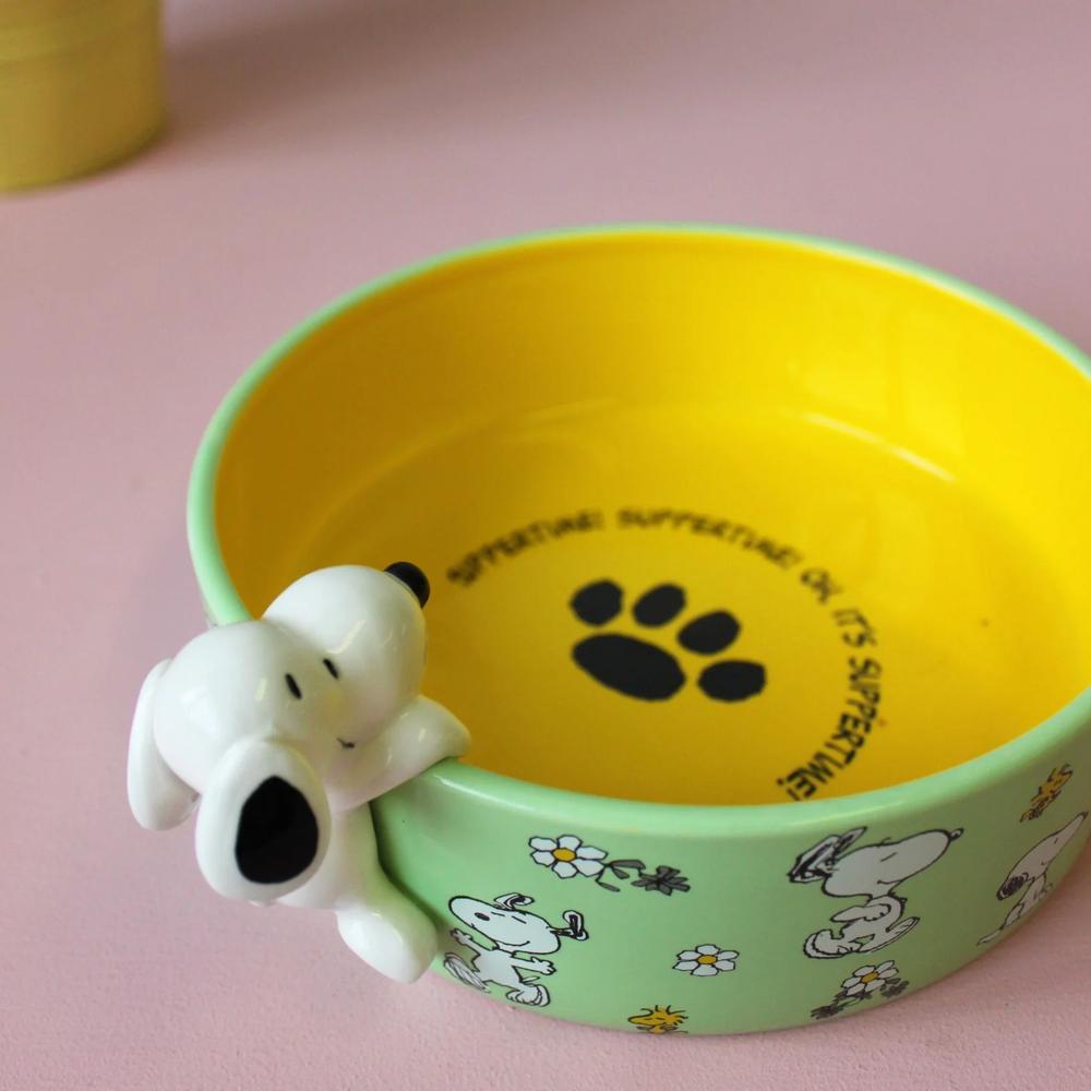 Snoopy Dog Bowl
