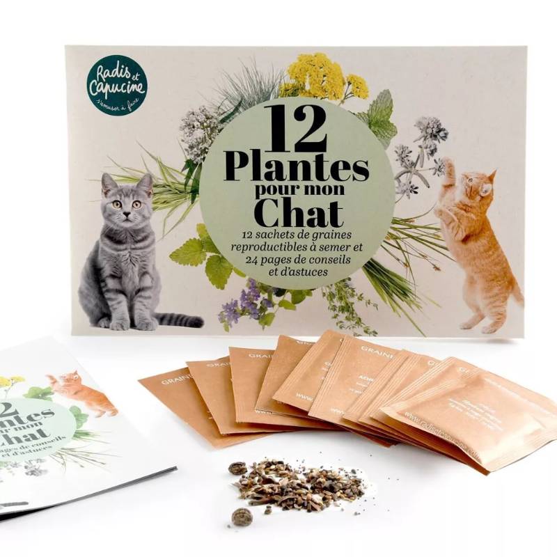 12 Plants for My Cat Seed Set