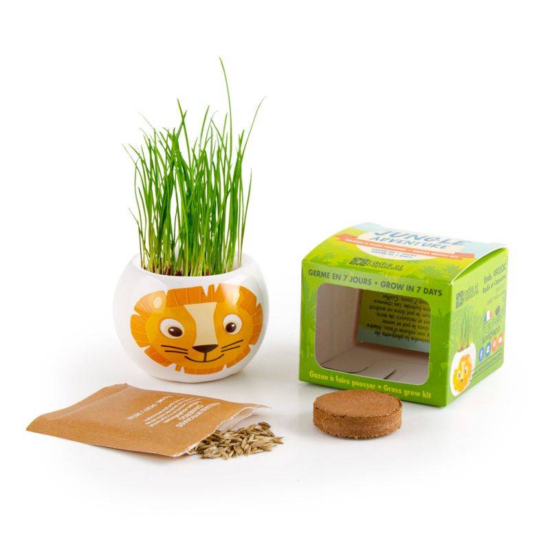 Lion's Mane Kit