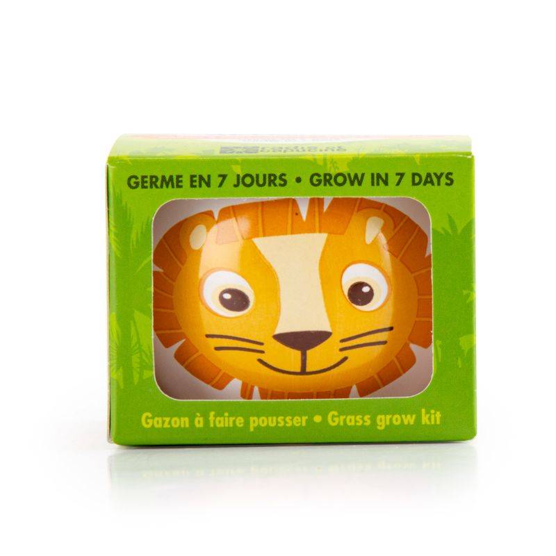 Lion's Mane Kit