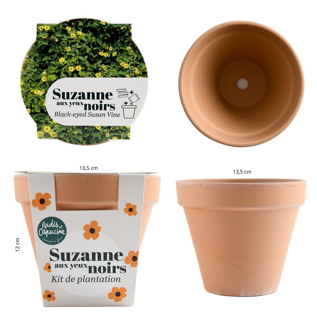 Pflanzset Schwarz�ugige Susanne