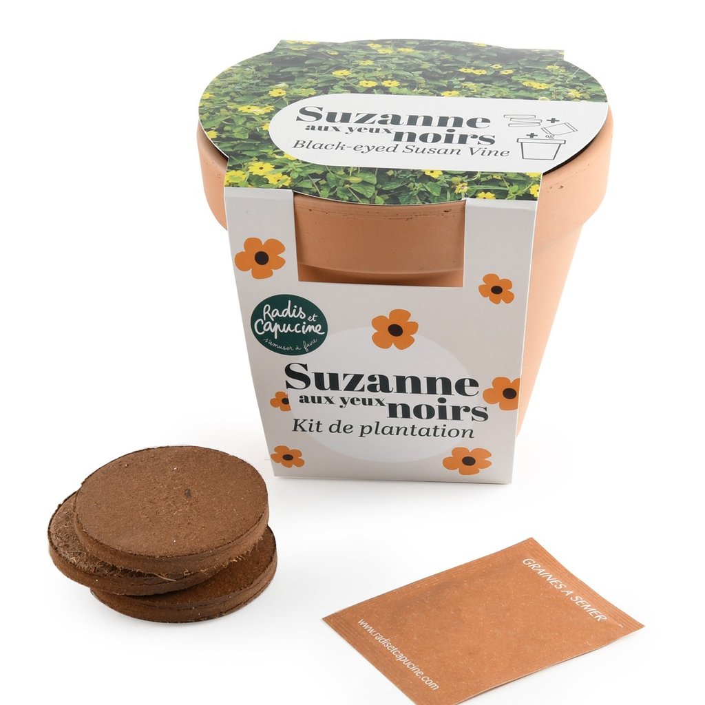 Pflanzset Schwarz�ugige Susanne